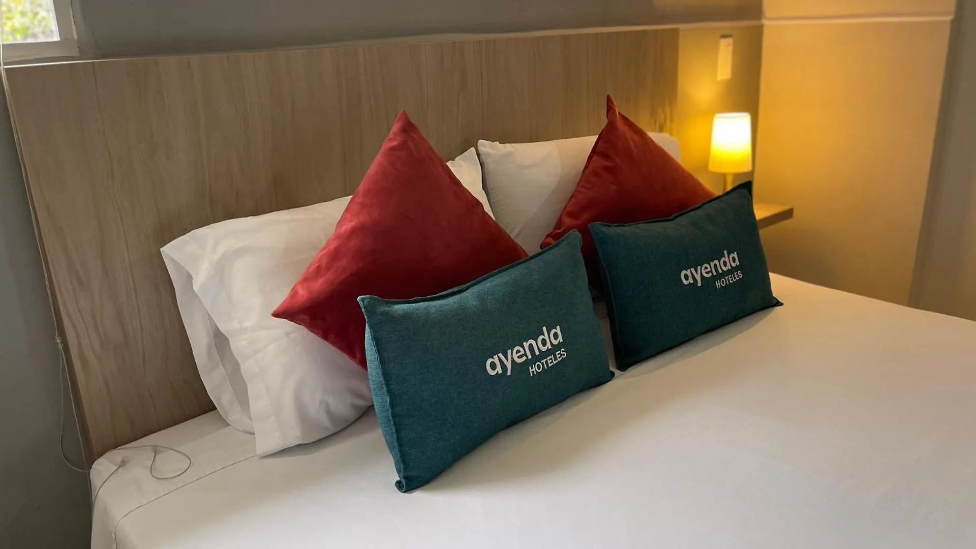 招待所 Hotel 12 Nights 麦德林 哥伦比亚